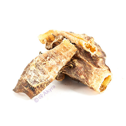 Kamelenluchtpijp | Akyra | Kauwsnack