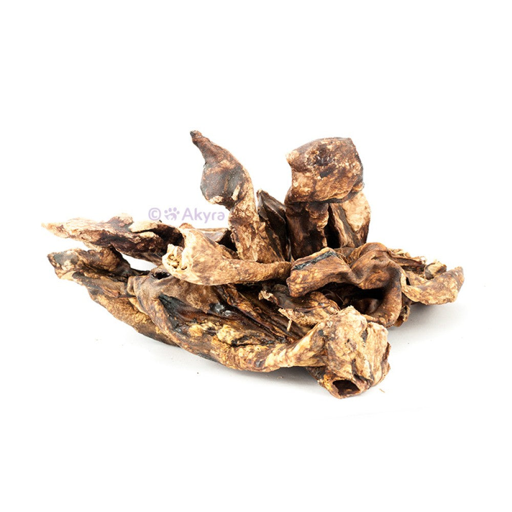 Lamslong | Akyra | Hondensnack