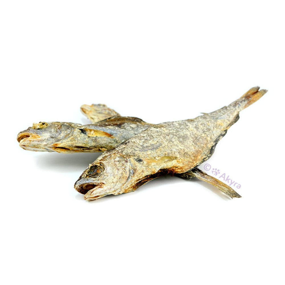 Wijting | Akyra | Hondensnack