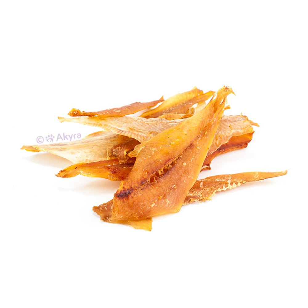 Witvisfilet | Akyra | Hondensnack