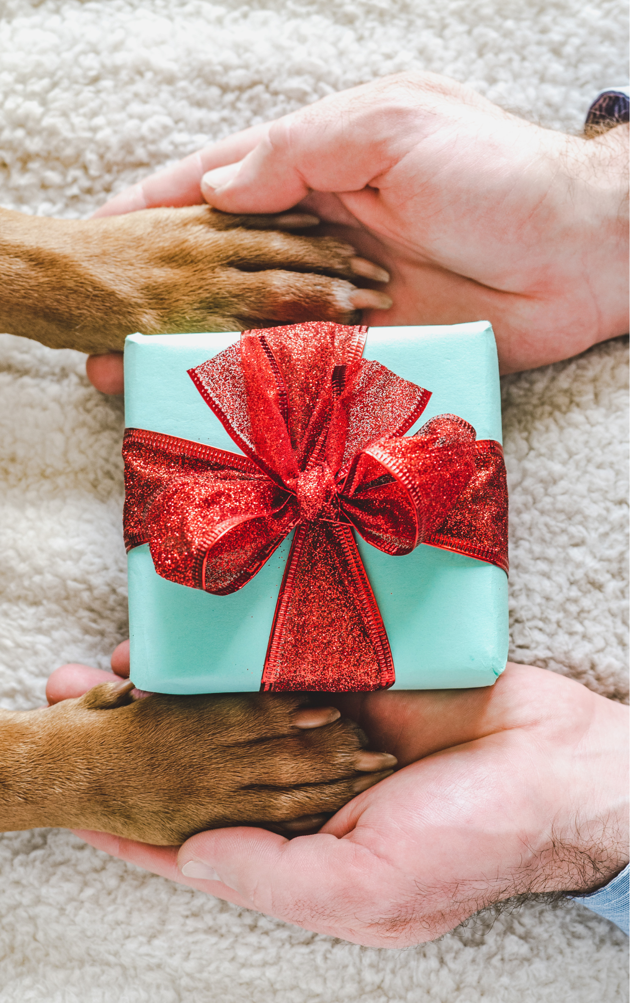 Honderonsje Cadeaubonnen