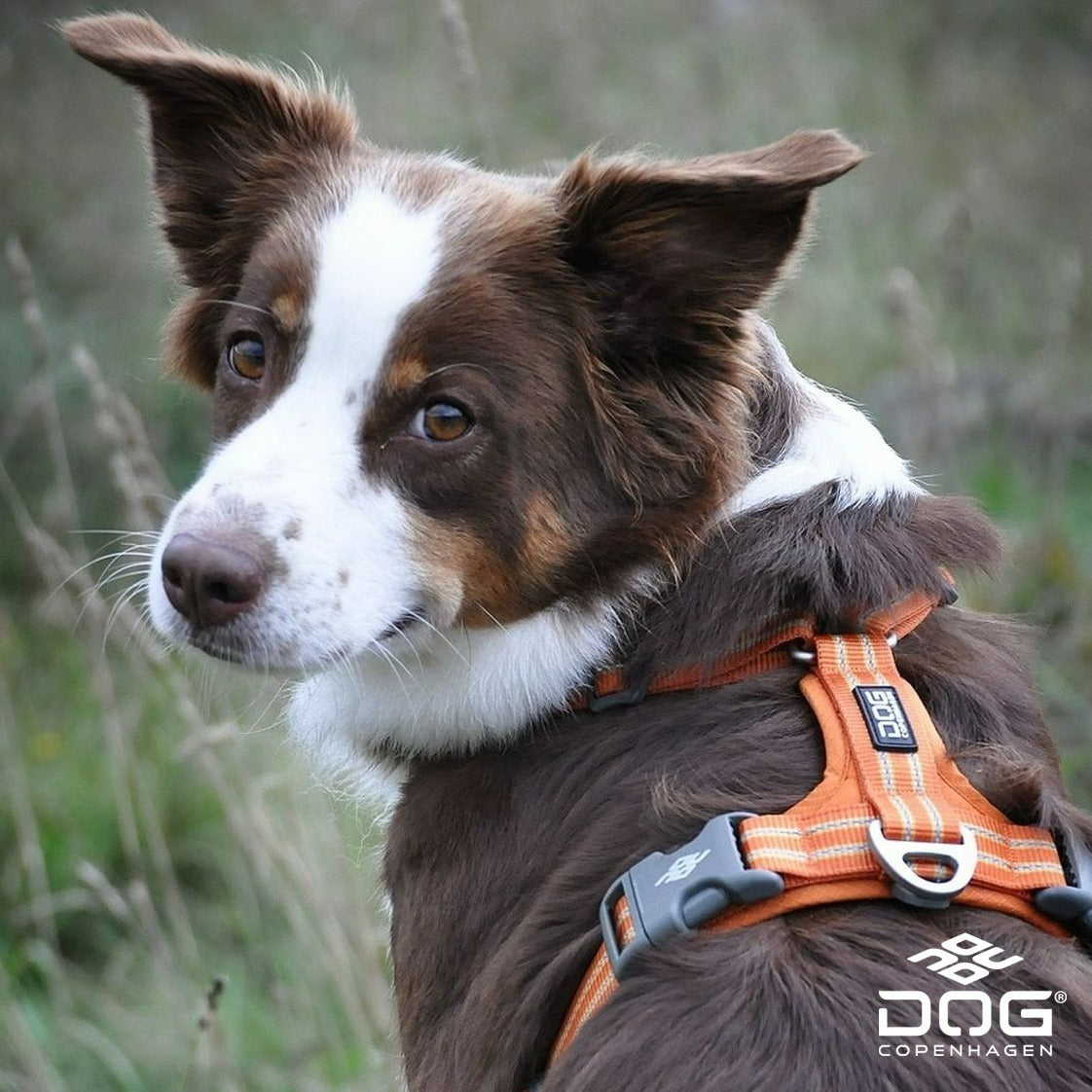 Air Walk Harness | Dog Copenhagen | Harnas