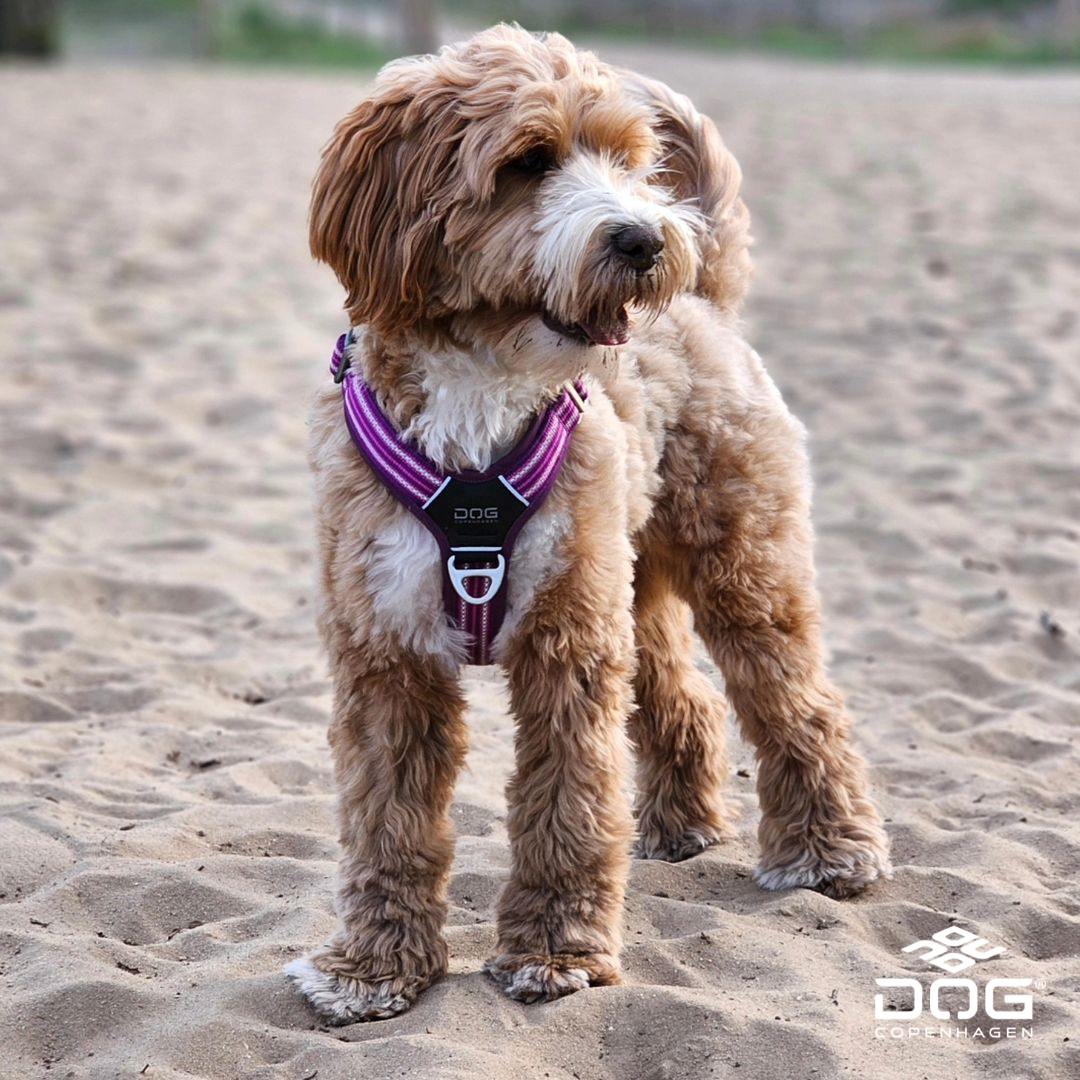 Air Walk Harness | Dog Copenhagen | Harnas