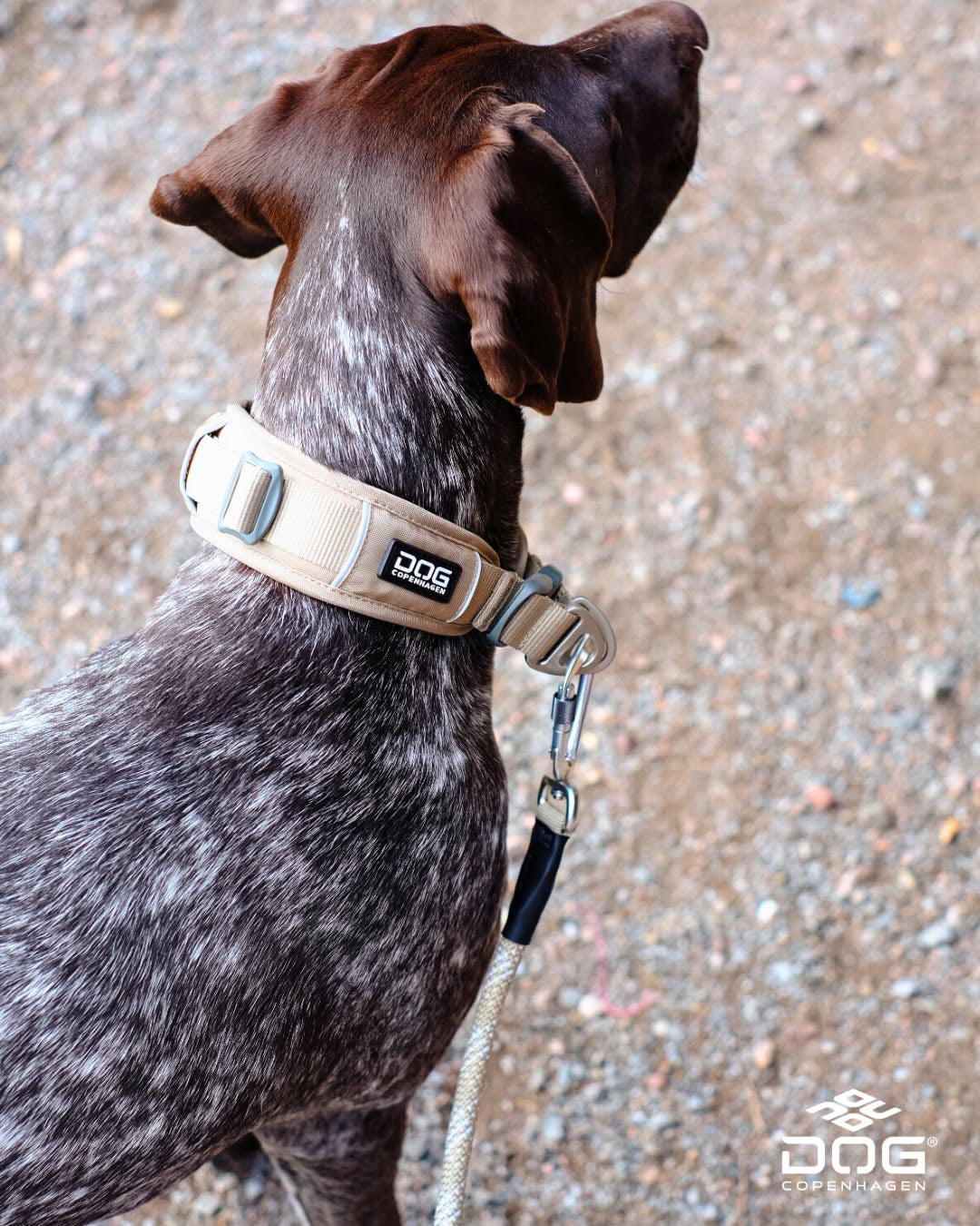 Urban Explorer Halsband | Dog Copenhagen | Halsband