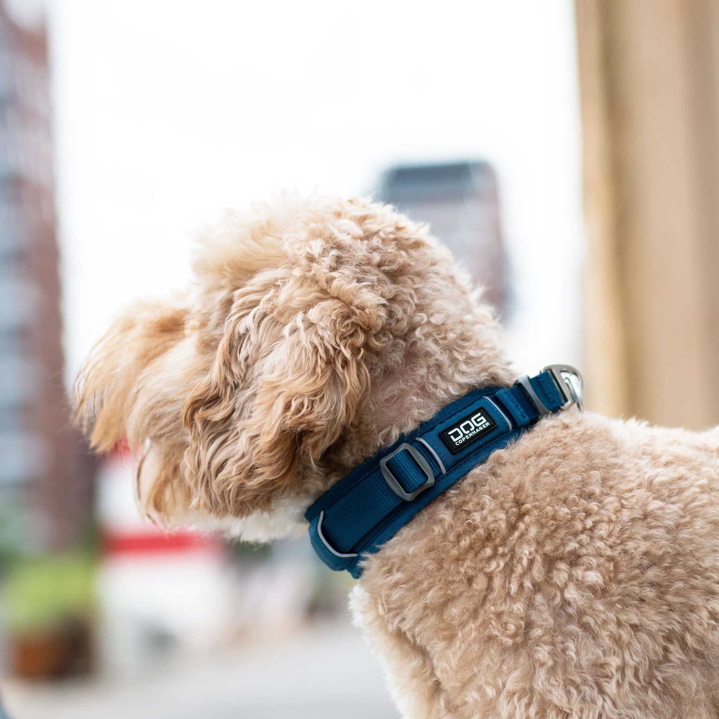Urban Explorer Halsband | Dog Copenhagen | Halsband