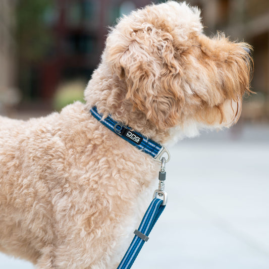 Urban Style Halsband | Dog Copenhagen | Halsband