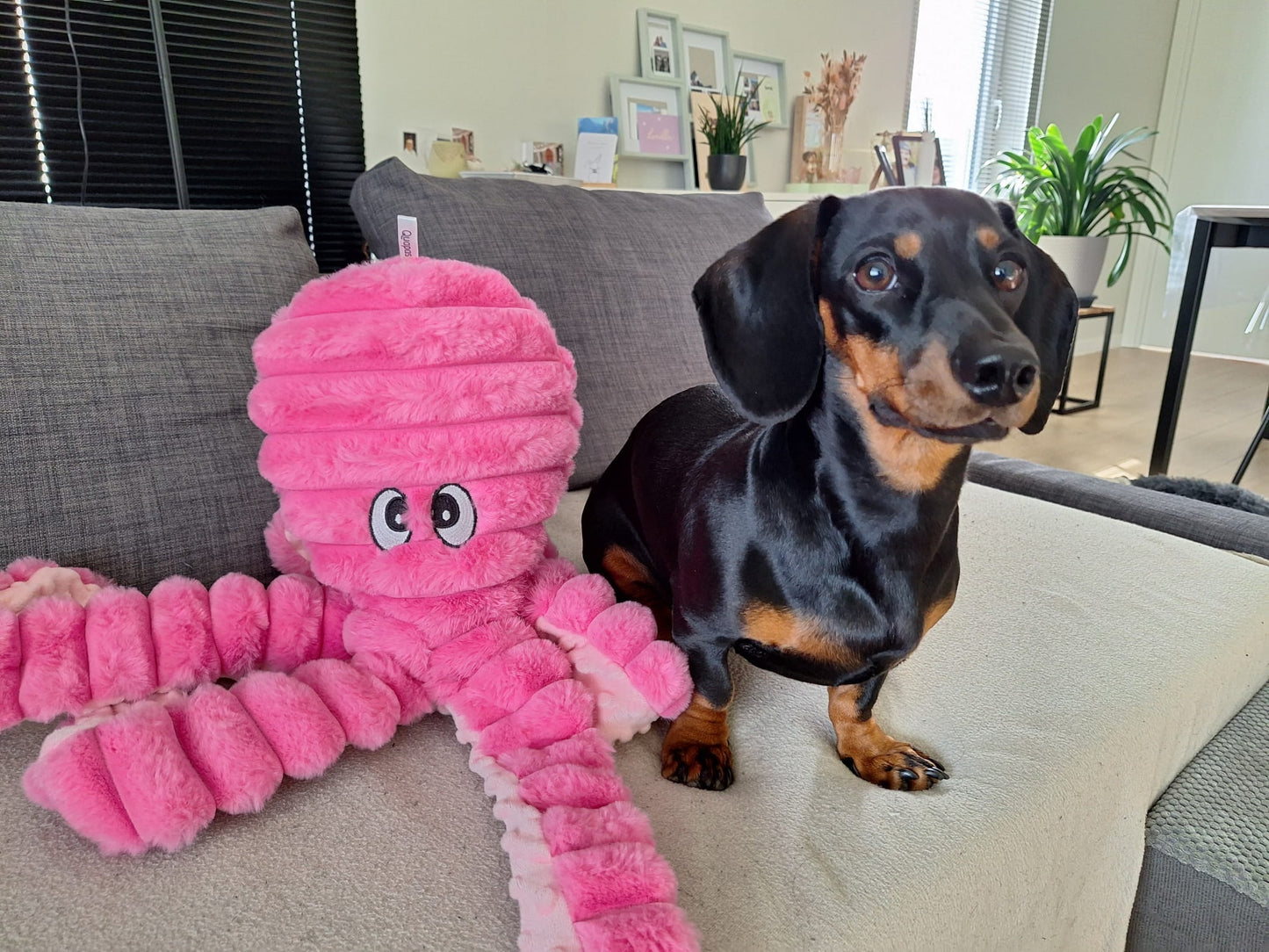 Giant Octopus | Hondenknuffel | Pluche Speelgoed