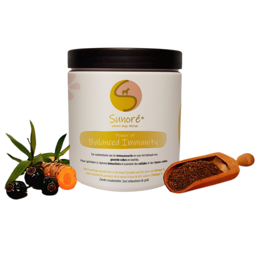 Power of Balanced Immunity | Sunoré | Supplement & Topping