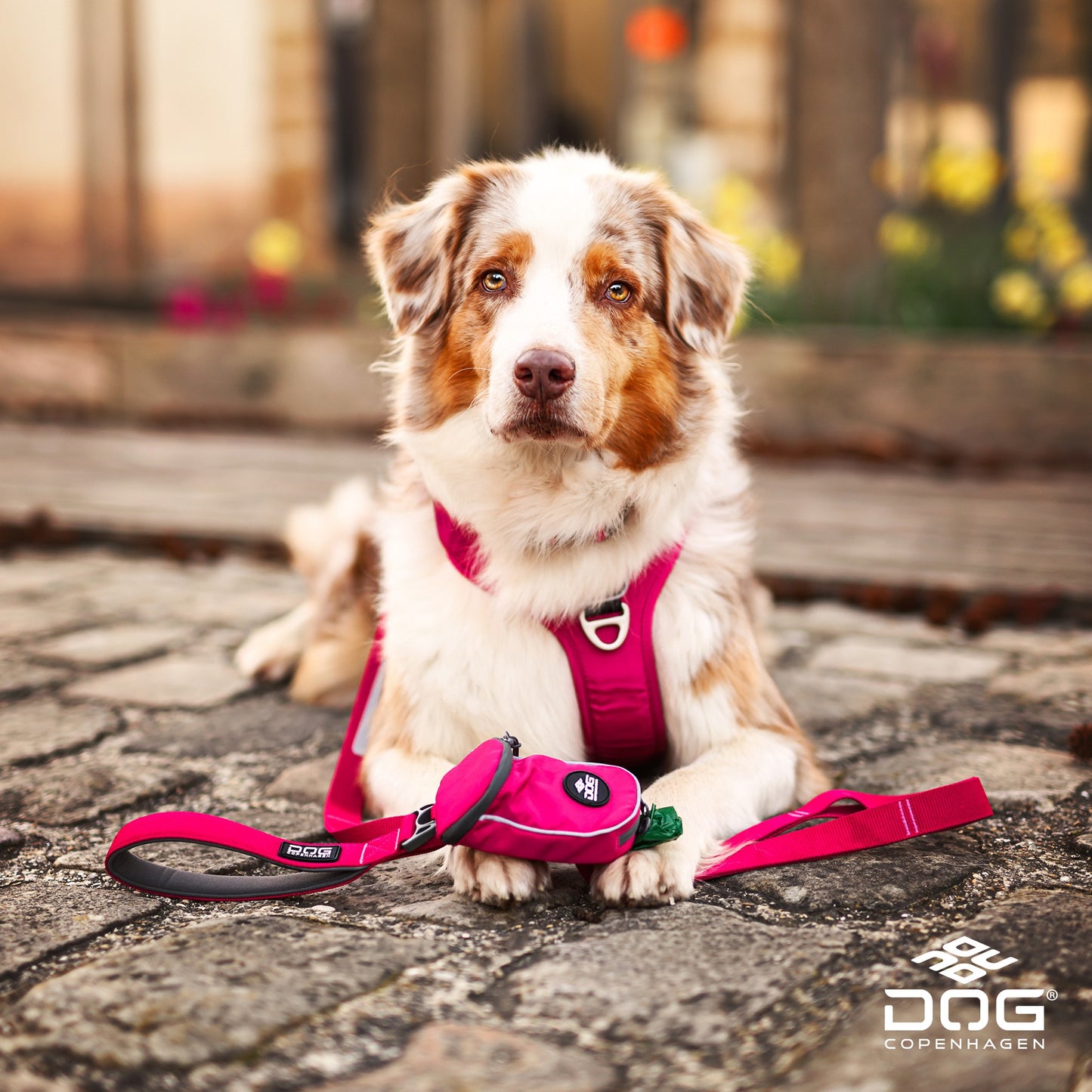 Comfort Walk Pro Harness | Dog Copenhagen | Harnas