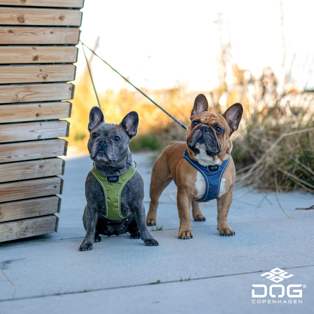 Comfort Walk Go Harness | Dog Copenhagen | Harnas