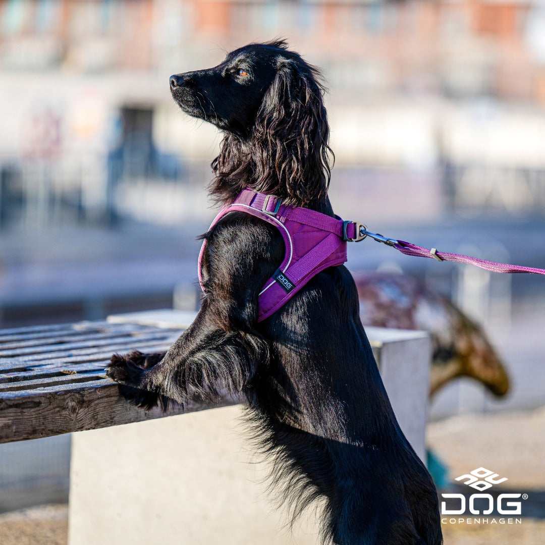 Comfort Walk Go Harness | Dog Copenhagen | Harnas