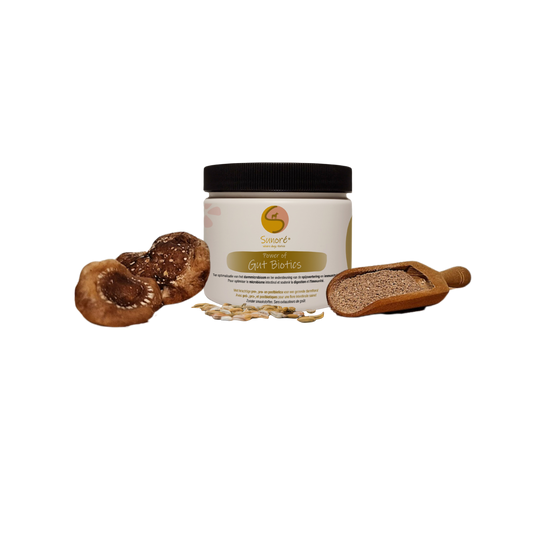 Power of Gut Biotics | Sunoré | Supplement & Topping