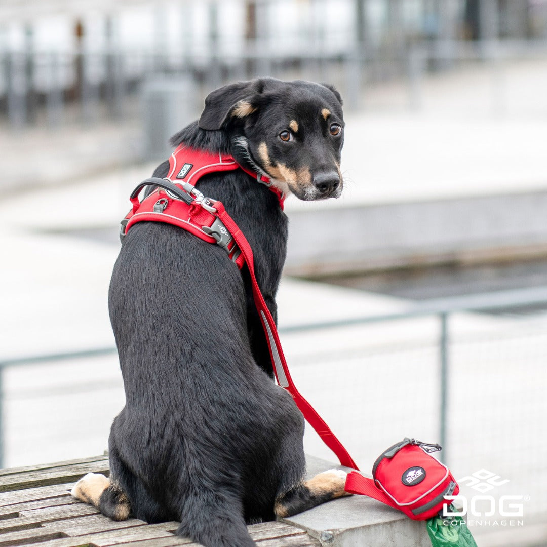 Comfort Walk Pro Harness | Dog Copenhagen | Harnas