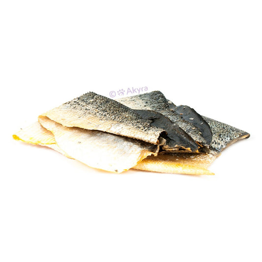 Zalmhuid | Akyra | Hondensnack